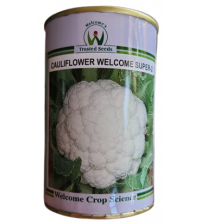 Cauliflower Welcome Super-2 100 grams